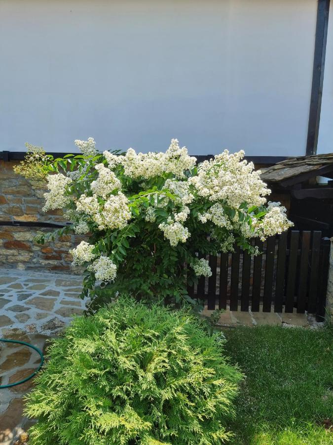 Семеен Хотел Чардаците Loveci Exterior foto